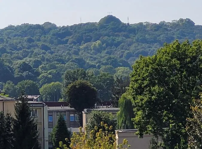 Apartament Salwator Falata